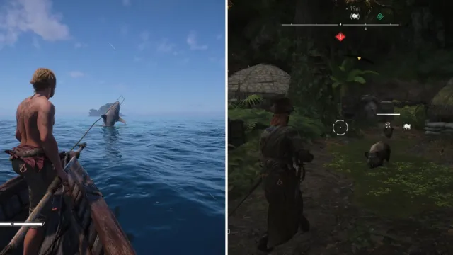 Assassin’s Creed Black Flag Resynced: All Animal Locations