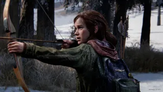 "Single-player, narrative-driven gaming is here to stay," ex-PlayStation boss says: "It's how we built this business. That's what sustains it"