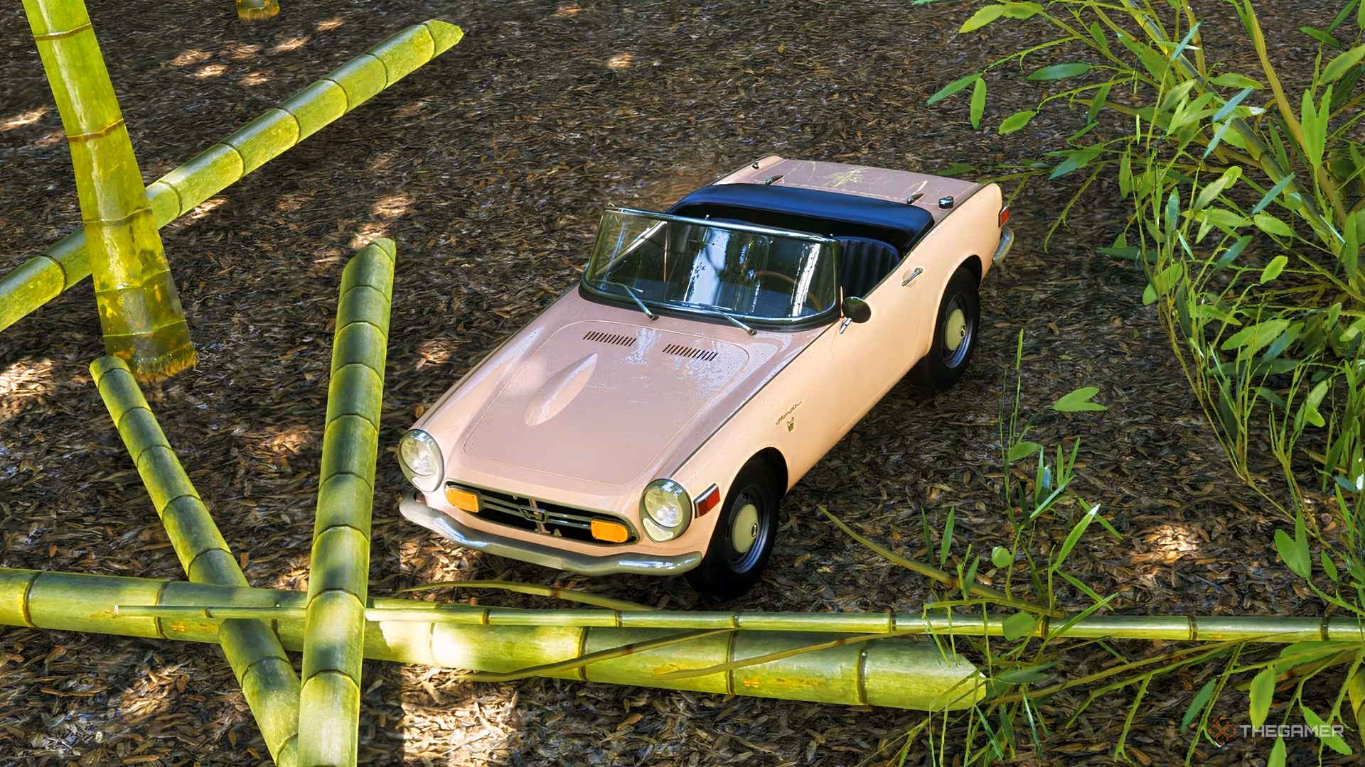 Where To Find Bamboo In Forza Horizon 6