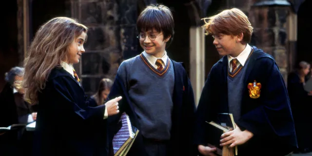 Harry Potter's Most Emotional Background Story Deserved Better Than the Movies