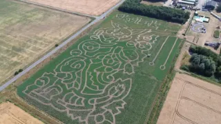 Pokémon's 30th anniversary celebrated with a 13-acre "maize maze"