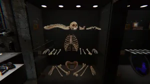 How To Find Bones In Phasmophobia
