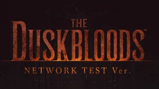Here’s How To Join The Duskbloods Network Test