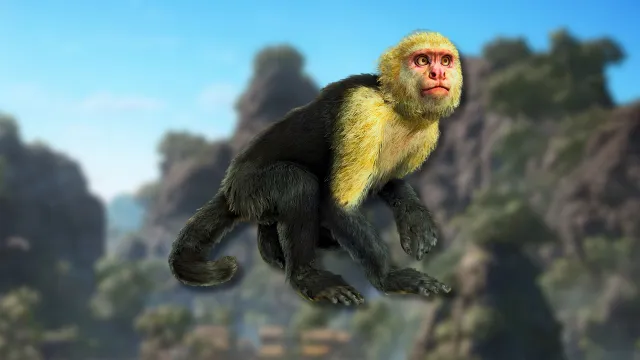 How to Get Capuchin Monkey Pelt - AC Black Flag Resynced