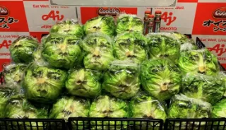 Death Note, Battle Royale star Tatsuya Fujiwara’s face printed on limited edition heads of lettuce in battle against Japan’s “lettuce crisis”