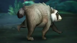Jimothy, The Viral Raccoon, Is Becoming An Earnable WoW Pet