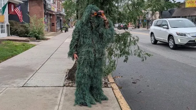 Cop disguised as bush with binoculars helps bust 74 distracted drivers in just 6 hours
