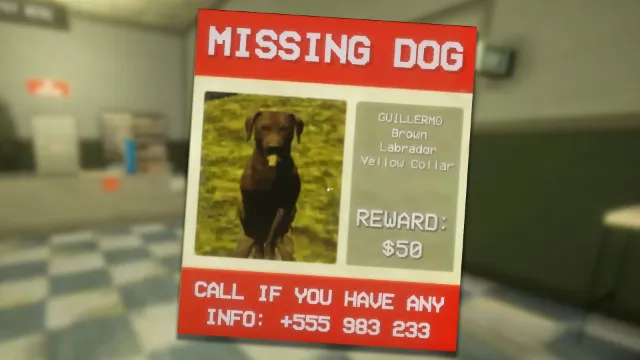 Can You Find the Missing Dog Guillermo in Shift at Midnight?