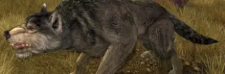 Lord of the Rings Online reveals its ambitious Wolves of Mordor expansion with two new systems