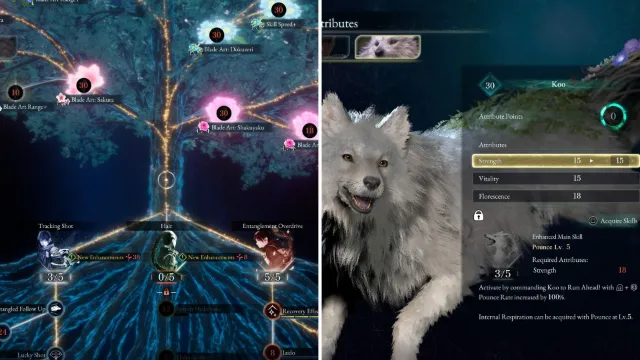 Beast of Reincarnation: Best Skills & Attributes to Upgrade