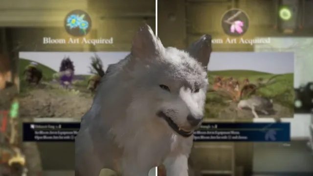 8 Best Bloom Arts in Beast of Reincarnation, Ranked