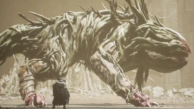 Nue Malefact and Shidou Boss Guide in Beast of Reincarnation