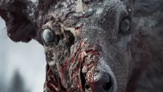 State Of Decay Studio Undead Labs Is Apparently Also Facing Closure At Xbox