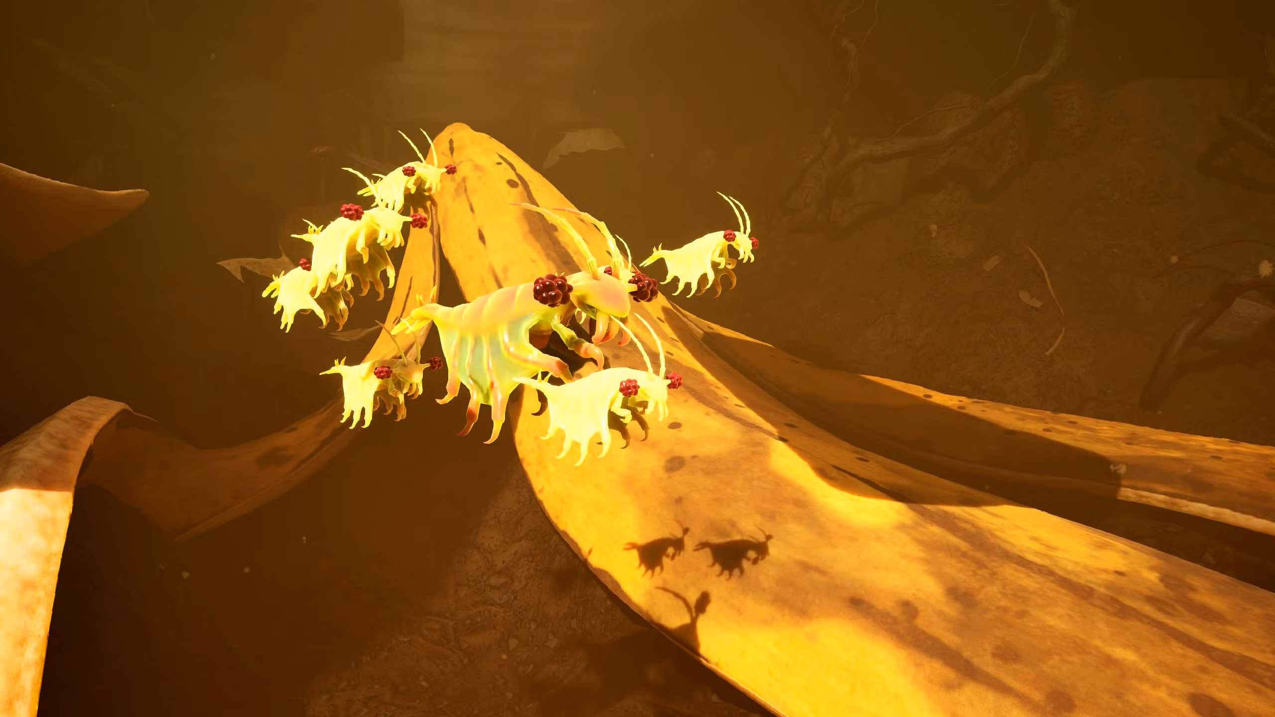 Where to find the pond jockey location in Grounded 2