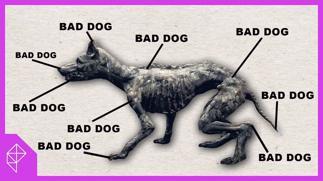 I hate dogs (in Elden Ring)