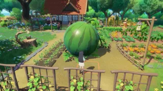 Starsand Island Review – A Cozy Island Paradise