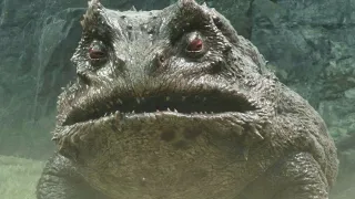 Should you feed Gorf in Mortal Shell 2?