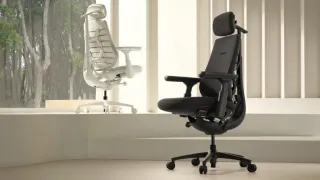 LiberNovo Maxis Airflow Ergonomic Chair Review