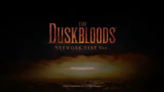 The Duskbloods’ first network test session fails to start