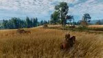 The Witcher 3 Remastered details Nintendo Switch 2 frame rate and resolution, physical release teased, mouse controls supported, mods confirmed