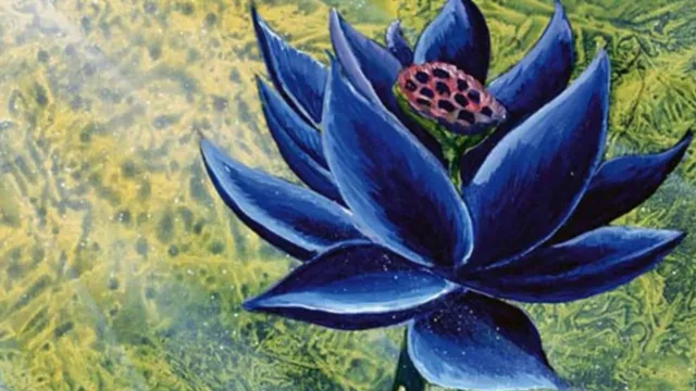 MTG's Most Expensive Card Is Making A Comeback In Reality Fracture