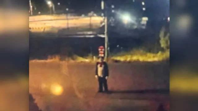 Police hunt Cat in the Hat after teenage girl chased through neighborhood