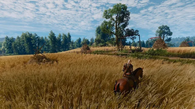 CD Projekt Red defies all that is good in The Witcher 3: Songs of the Past by fixing Roach's "movement behavior," but mercifully lets us turn the fix off to preserve the horse's "shenanigans"