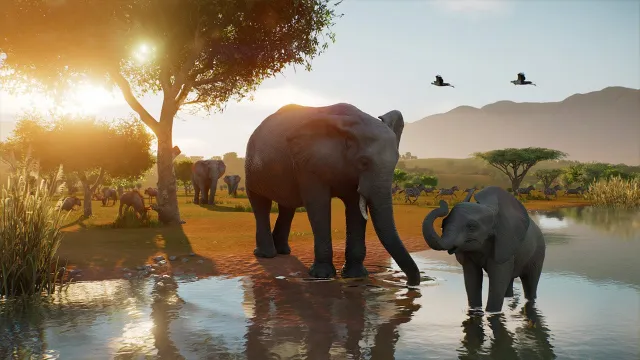 Planet Zoo 2 Puts You Right Down into the Wild With Your Animals | IGN Preview