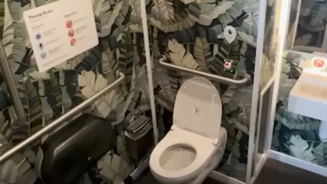 New York’s new robotoilets make you finish in 10 minutes or the door opens
