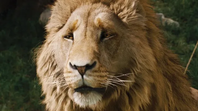 Netflix’s Chronicles of Narnia Reboot Reveals Official First Look