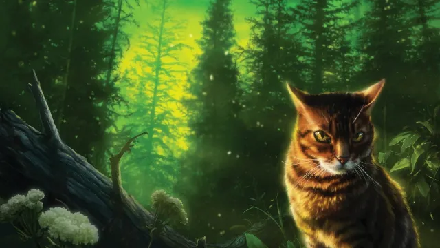 New Cat Species Discovered in Bolivia After Being Mistaken for a Kitten