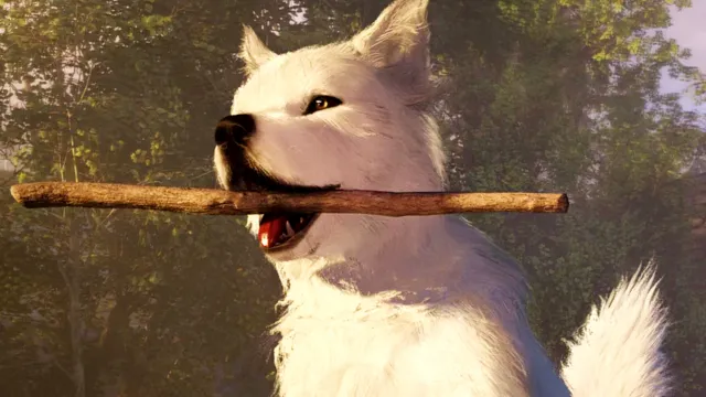 New Soulframe update brings the world to life with adorable wolf pups, fishing, and weather