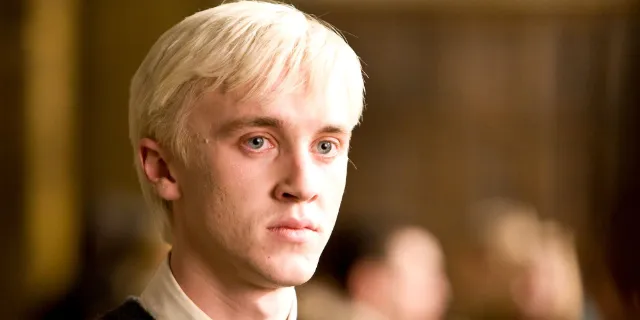 What Happened to Draco Malfoy After Harry Potter?