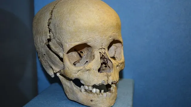 YouTuber Horses is selling $3,000 “ethically sourced” human skulls