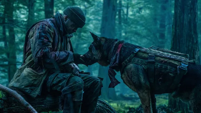 Heart of the Beast Review: Brad Pitt and His Combat Dog Go Ruffin' It in the Wild
