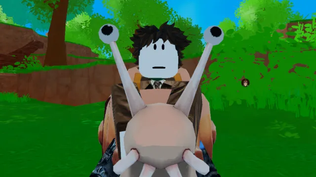 Are there any Ride a Pet codes?