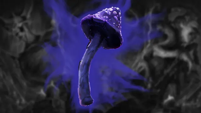 How to Get & Use Black Mushrooms in Diablo 4 Season 15