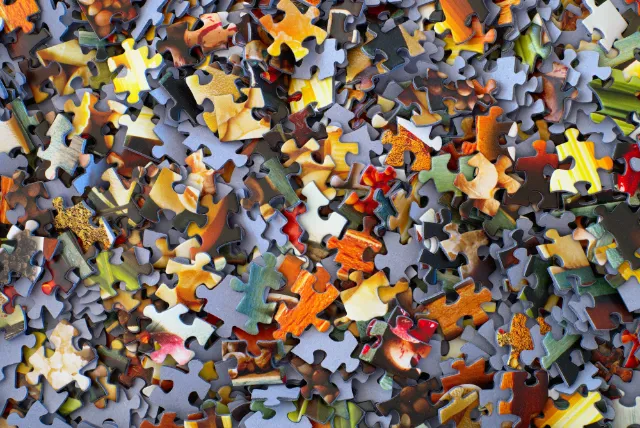 The Jigsaw Puzzles Got Me