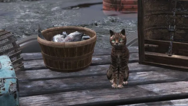 Fallout 76 Roadmap and World Pets Preview