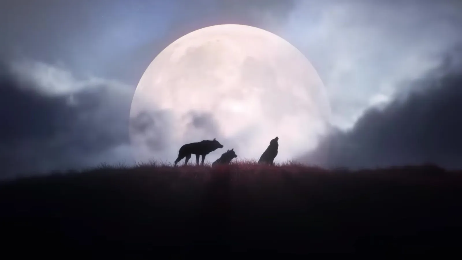 The Blood of Dawnwalker - Story Trailer | Bandai Namco Summer Showcase 2025 — frame 5