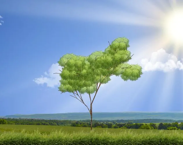 Procedural Trees cover art