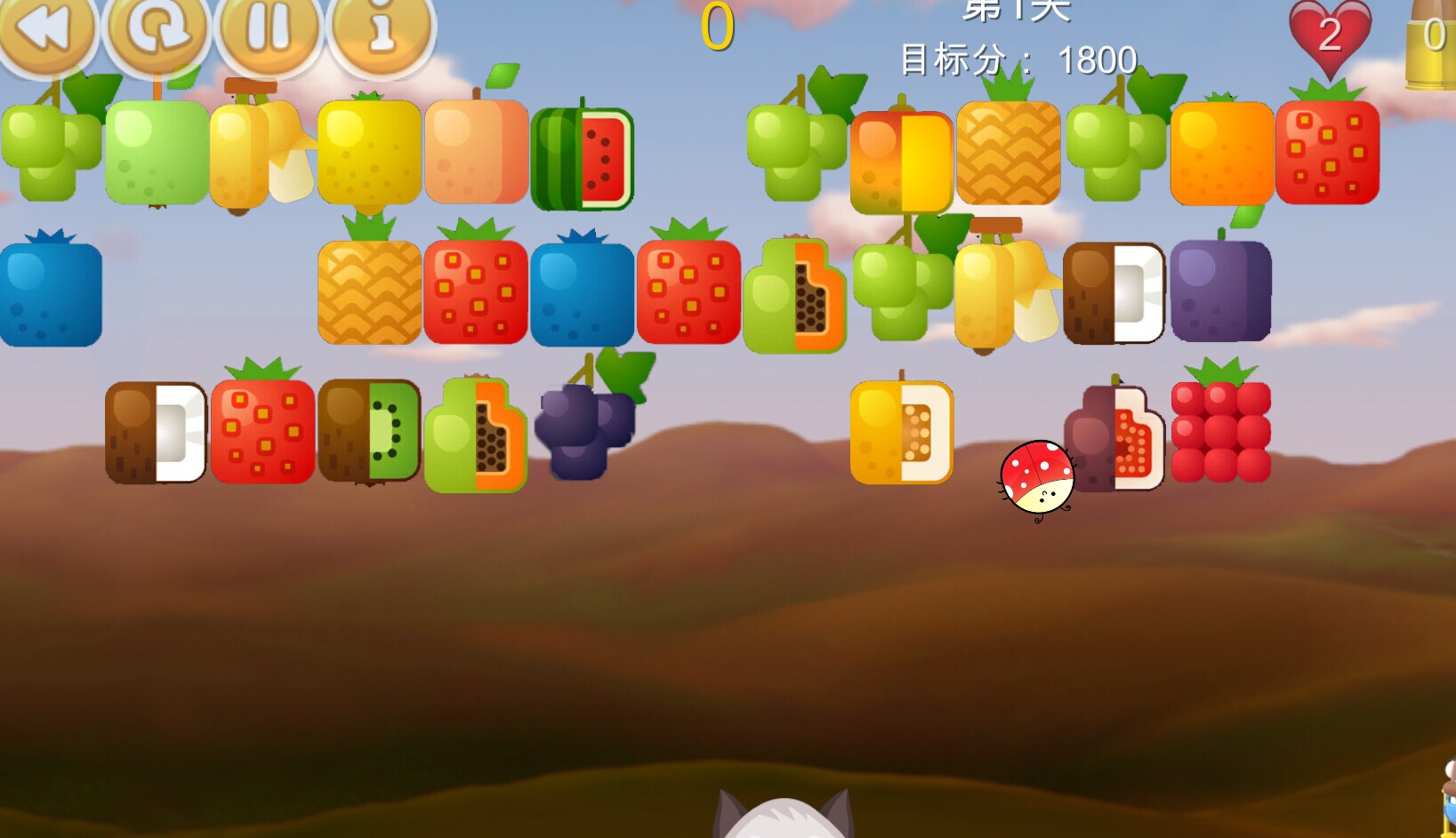 Fruit cover art
