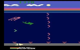 Dolphin cover art