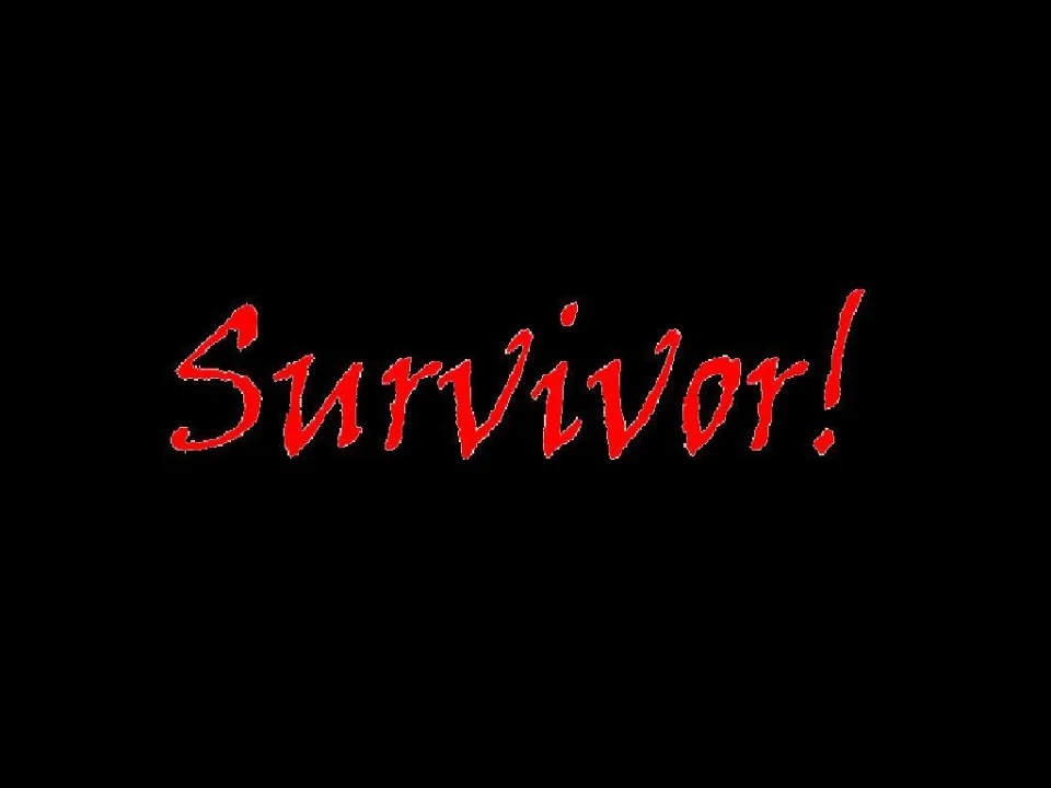 Survivor! cover art
