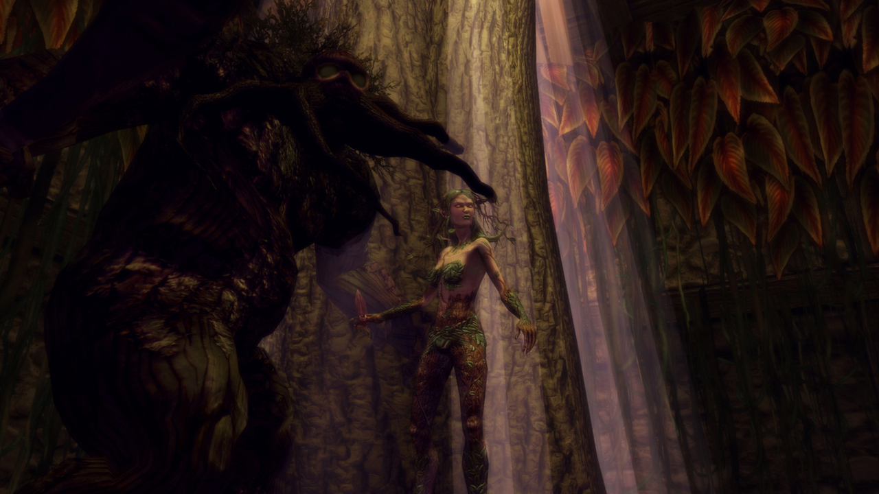 Dungeons & Dragons Online cover art