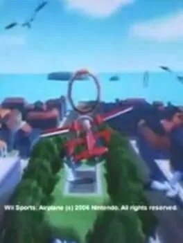 Wii Sports: Airplane cover