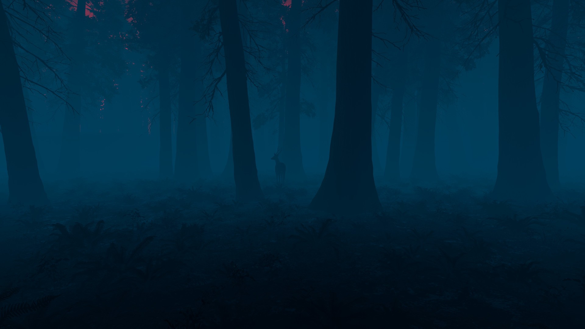 The Woods cover art