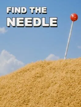 Find The Needle cover