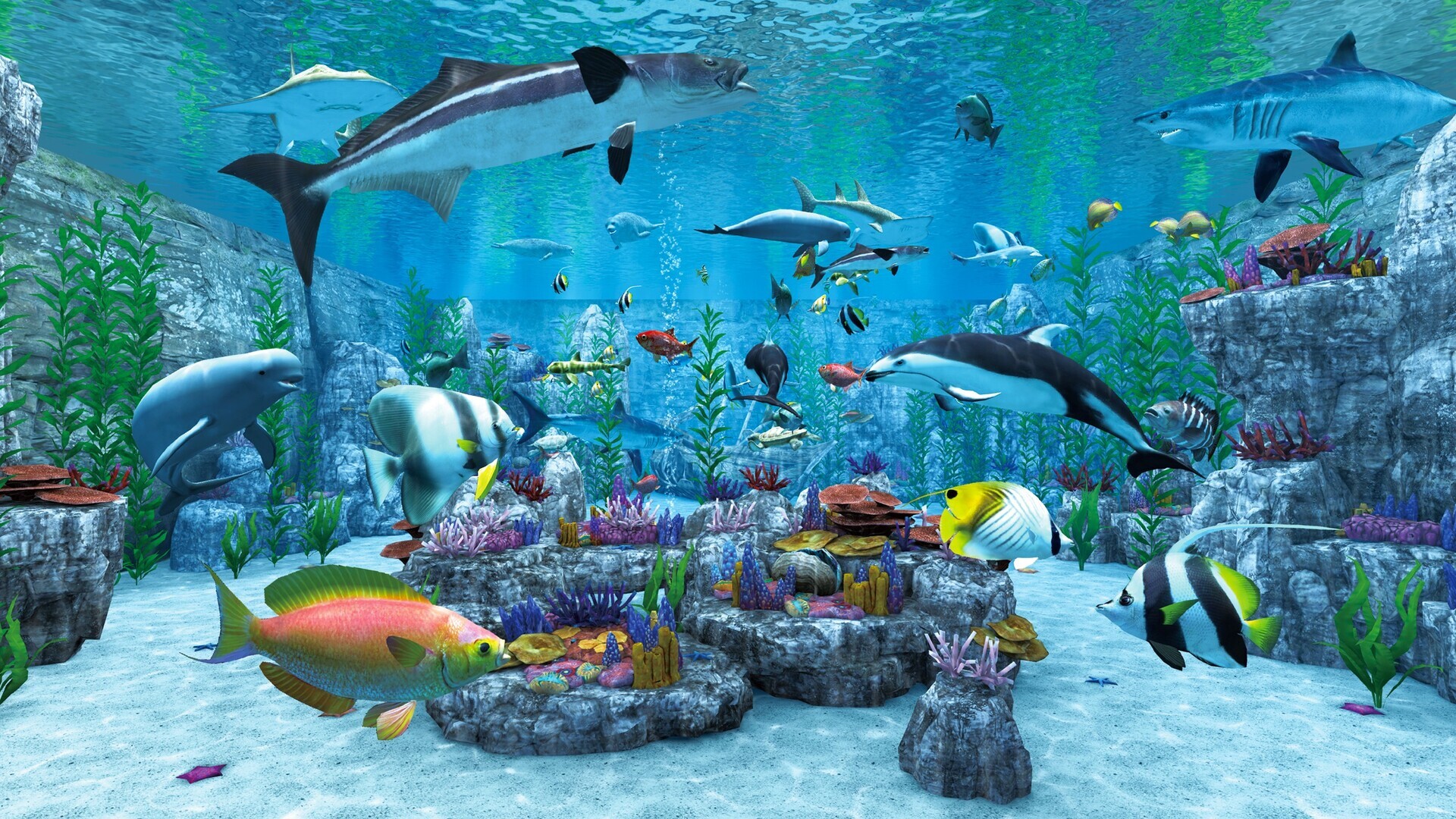 Real VR Fishing cover art