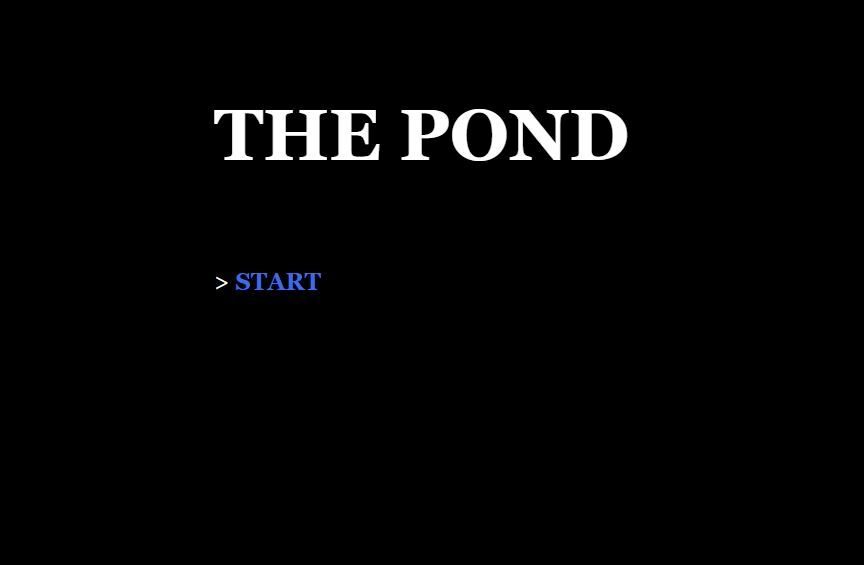 The Pond cover art